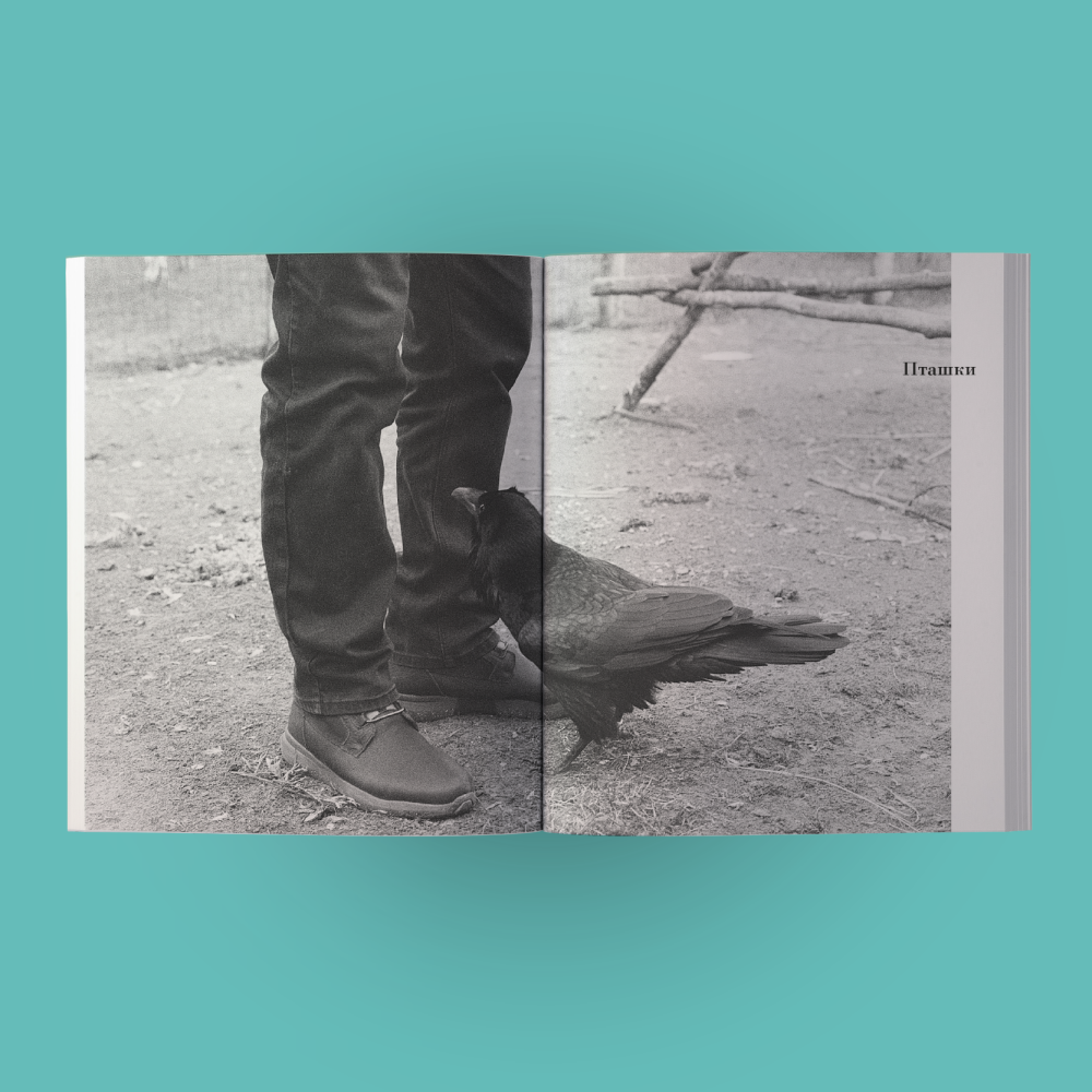 Цикл лекций о современной жизни животных [Цикл лекцій про сучасне життя тварин]