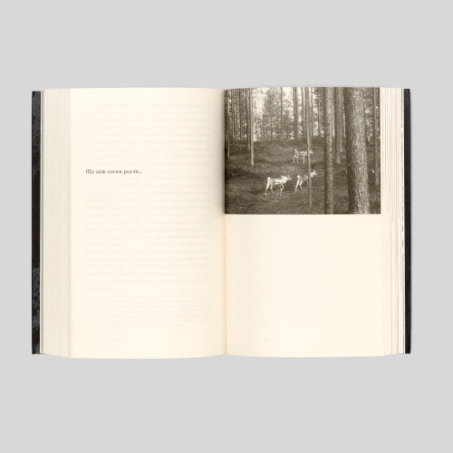 Гриб наприкінці світу. Анна Цзин