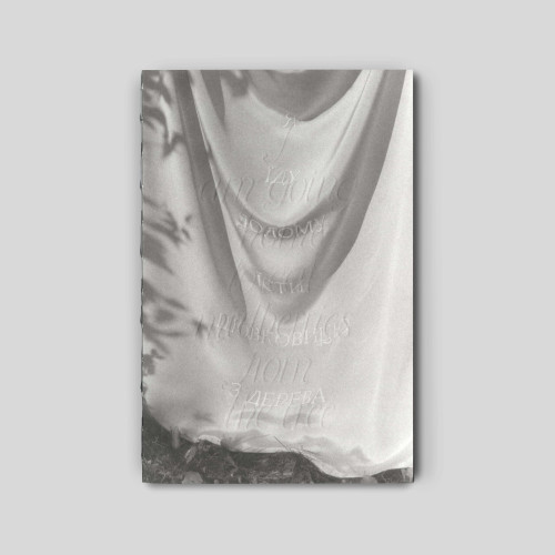 Я їду додому їсти шовковицю з дерева. Катя Лесів