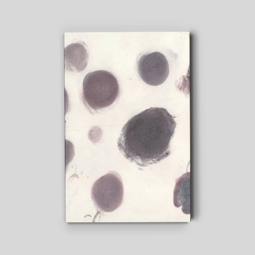 Я їду додому їсти шовковицю з дерева. Катя Лесів