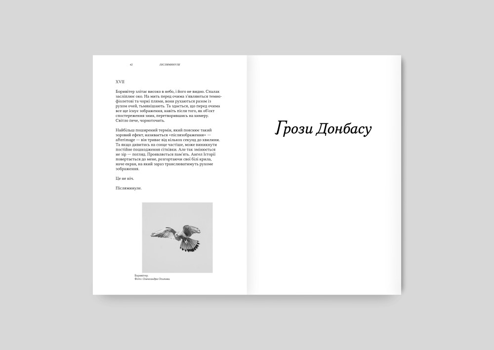 ДОНБАС ЯК МЕТАФОРА. КАТЯ ЯКОВЛЕНКО