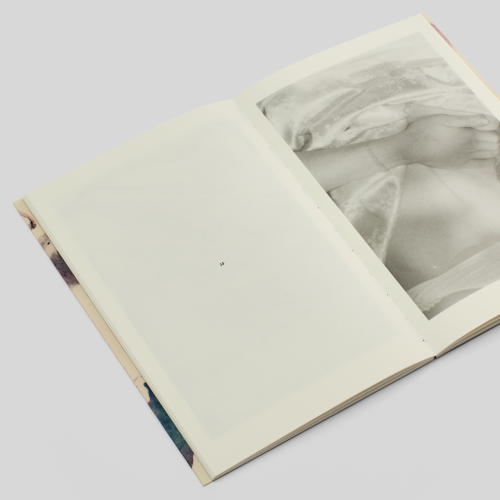 Я їду додому їсти шовковицю з дерева. Катя Лесів