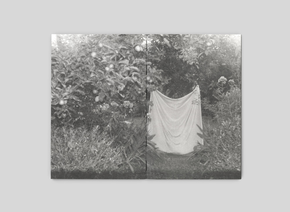 Я їду додому їсти шовковицю з дерева. Катя Лесів