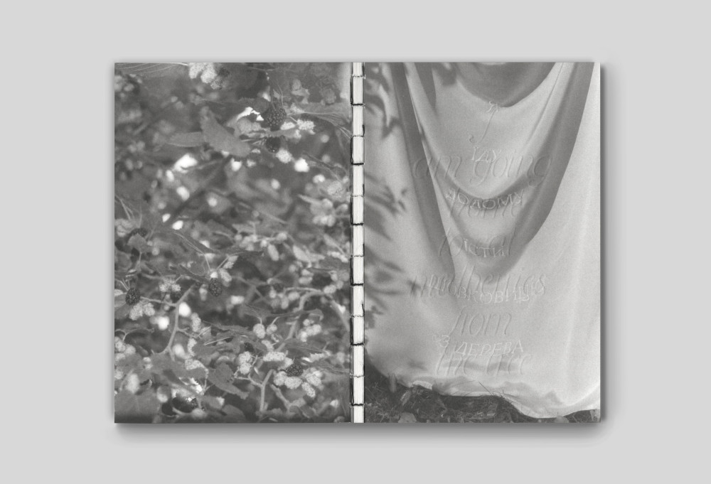 Я їду додому їсти шовковицю з дерева. Катя Лесів