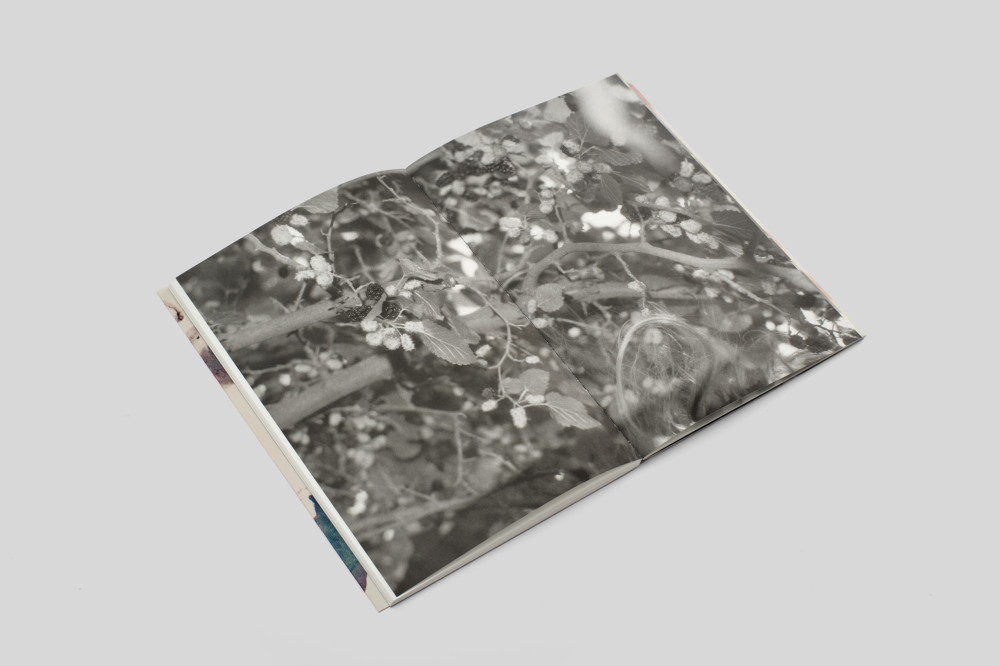 Я їду додому їсти шовковицю з дерева. Катя Лесів